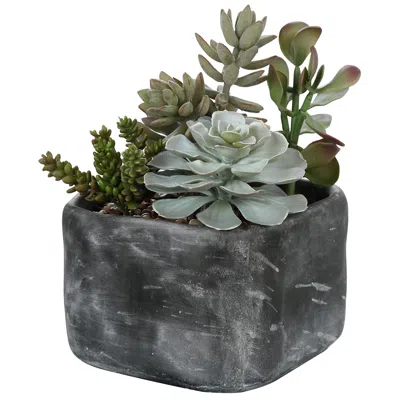 Uttermost Alverio Green Succulent 12"w Faux Plant In Concrete Planter