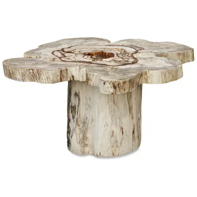 Uttermost Anzalone Tamarind Wood Coffee Table In Neutral