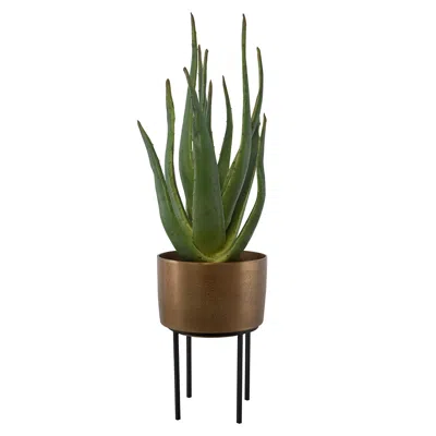 Uttermost Arabia 37" High Faux Aloe Plant In Pot