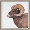 Uttermost Big Horn 40" Framed Print