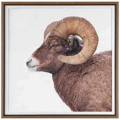 Uttermost Big Horn 40" Framed Print