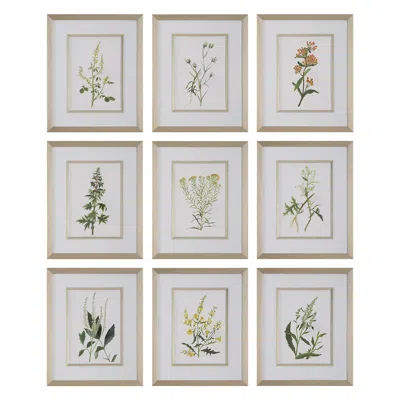 Uttermost Botanical Flowers 21 1/2"h 9-piece Framed Print Wall Art Set
