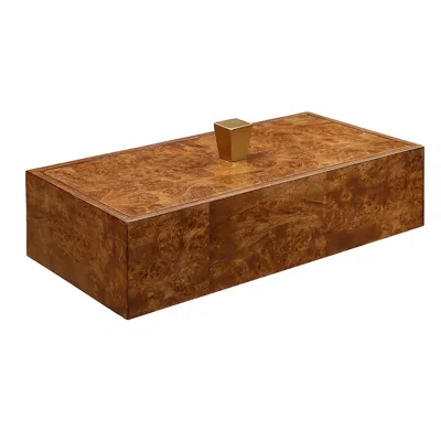 Uttermost Burl Haven Box In Brown