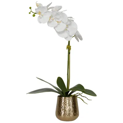 Uttermost Cami White Orchid 24"h Faux Flower In Brass Pot