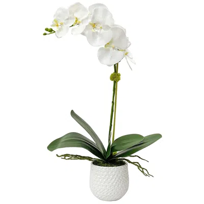 Uttermost Cami White Orchid 24"h Faux Flowers In Ceramic Pot