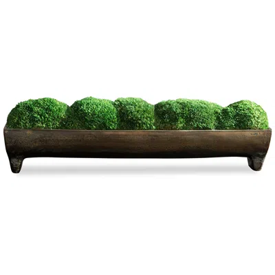 Uttermost Canal Green Moss 17"w Faux Plant In Elongated Tray