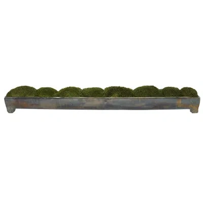 Uttermost Canal Moss Centerpiece In Planter