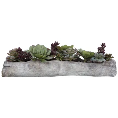 Uttermost Charita Green Succulent 29 1/2" Wide Faux Plant In Container