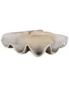 Uttermost Clam Shell Bowl In Gray