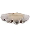 Uttermost Clam Shell Bowl In Neutral