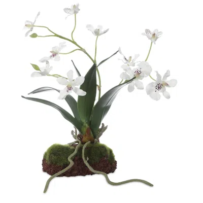 Uttermost Clovis Orchid Drop-in In White