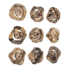Uttermost Corkscrew Wood Wall Decor In Brown