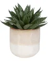 Uttermost Doha Succulent Accent In Green