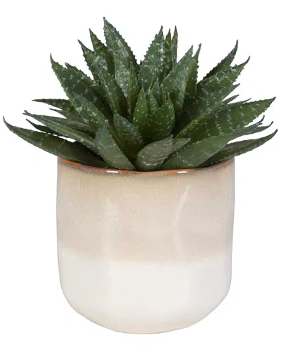 UTTERMOST UTTERMOST DOHA SUCCULENT ACCENT