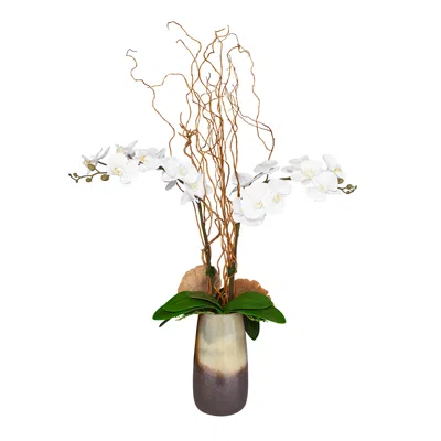 Uttermost Earthbound White Orchid 44"h Faux Flowers In Vase