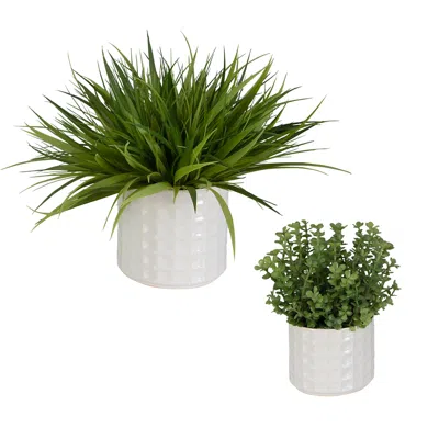Uttermost Edgewood 2-piece Greenery