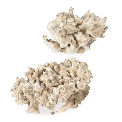 Uttermost Elemental Root Outdoor Sculptures Set/2 In White