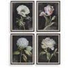 Uttermost Florals On Black 4-piece Framed Prints In Black