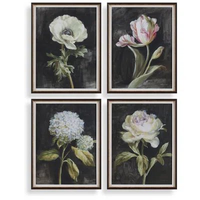 Uttermost Florals On Black 4-piece Framed Prints