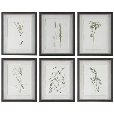 Uttermost Forest Finds 22" High 6-piece Framed Wall Art Set