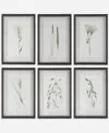 Uttermost Forest Finds Framed Prints Art, Set Of 6 In Green