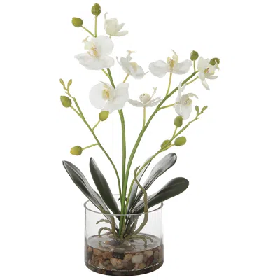 Uttermost Glory White Orchid 13"h Faux Flowers In Container