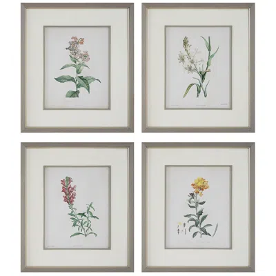 Uttermost Heirloom Blooms Study 30" High 4-piece Framed Wall Art Set