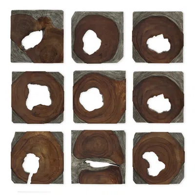 Uttermost Jungle Wood Paneled 9-piece Wall Art In Brown