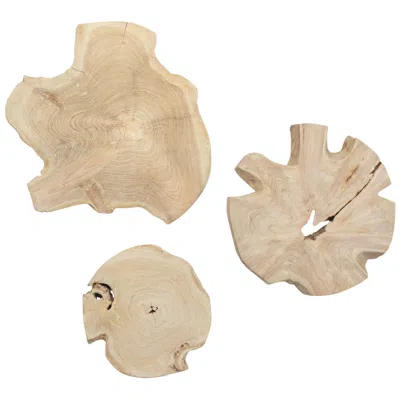 Uttermost Kalani 3-piece Bleached Wood Indoor-outdoor Wall Decor Set