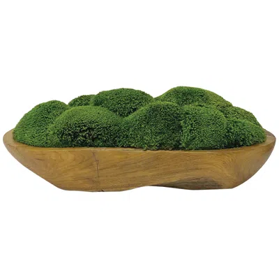 Uttermost Kinsale Green Moss 19" Wide Centerpiece In Natural Wood Bowl