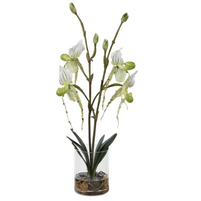 Uttermost Lady Slipper Faux Orchid In Vase In Multi