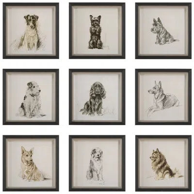 Uttermost Loyal Companion 9-piece Framed Wall Art Set