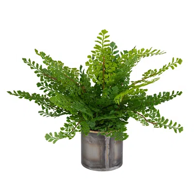 Uttermost Maidenhair 14" Fern Accent