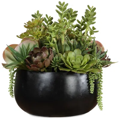 Uttermost Mico Indoor-outdoor Faux Succulent Centerpiece In Black