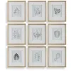 Uttermost Nature's Script 15 1/4" Wide 9-piece Framed Prints