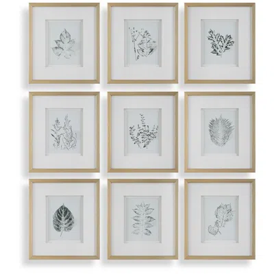 Uttermost Nature's Script 15 1/4" Wide 9-piece Framed Prints