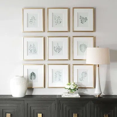 Uttermost Nature's Script Framed Botanical Prints Set/9 In White;green;gold