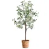 Uttermost Olea 67" Potted Olive Tree