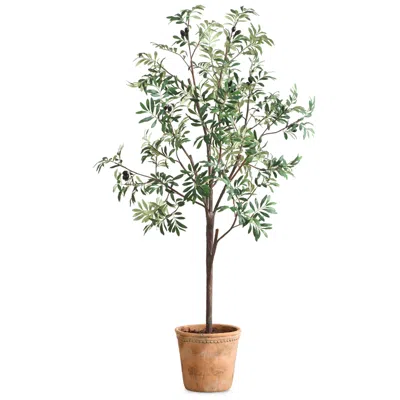 Uttermost Olea 67" Potted Olive Tree