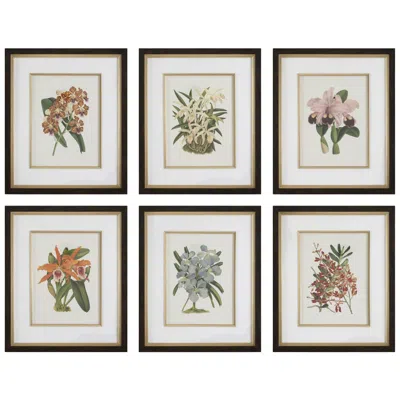 Uttermost Orchid Botanical 20 1/2" Wide 6-piece Framed Prints