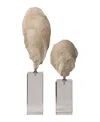 Uttermost Oyster Shell Sculptures, Set Of 2 In White