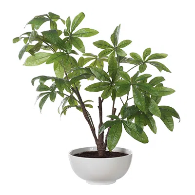 Uttermost Pachira 28 1/4" High Money Tree