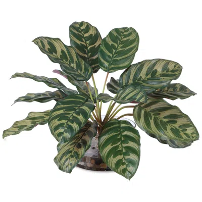 Uttermost Peacock Faux Plant In Vase In Green
