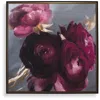 Uttermost Plum Ranculus 50.7" Square Framed Canvas