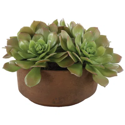 Uttermost Sable 13 1/4" Faux Succulent Accent In Container