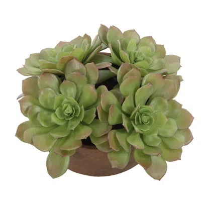 Uttermost Sable Succulent Accent In Pot In Green
