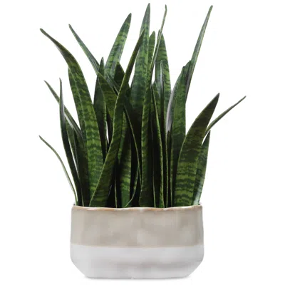 Uttermost Sansera 20 7/8" H Faux Snake Accent Plant In Green