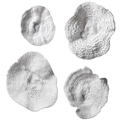 Uttermost Sea Coral 13 1/2" High 4-piece Wall Art Set In White