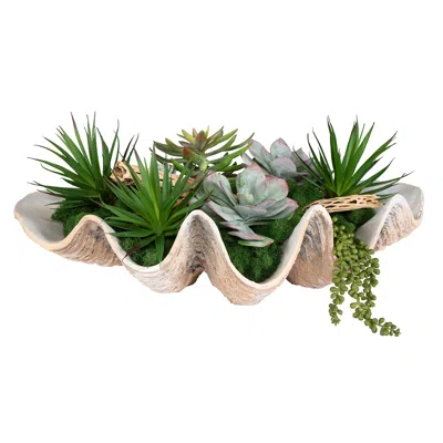 Uttermost Seaside Breeze 23" Wide X 10" High Succulents