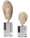 Uttermost Set Of 2 Oyster Shell Sculptures In Silver